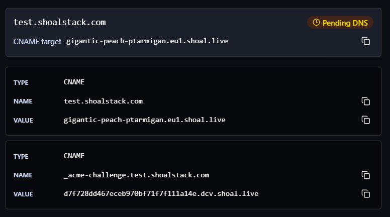 Pending DNS status with the two CNAME records to publish