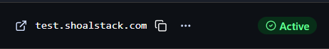 Custom domain showing the Active status